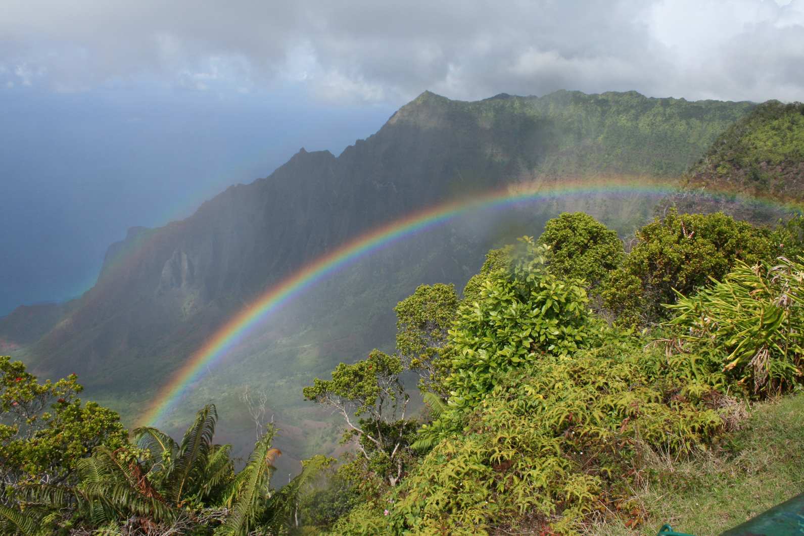 Nā Hoa Luana O Pu‘u Mālie