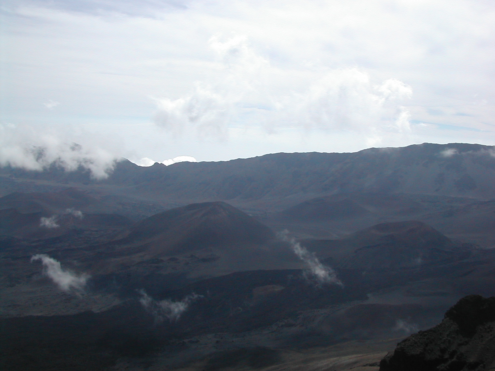 Nā Hoa Luana O Pu‘u Mālie