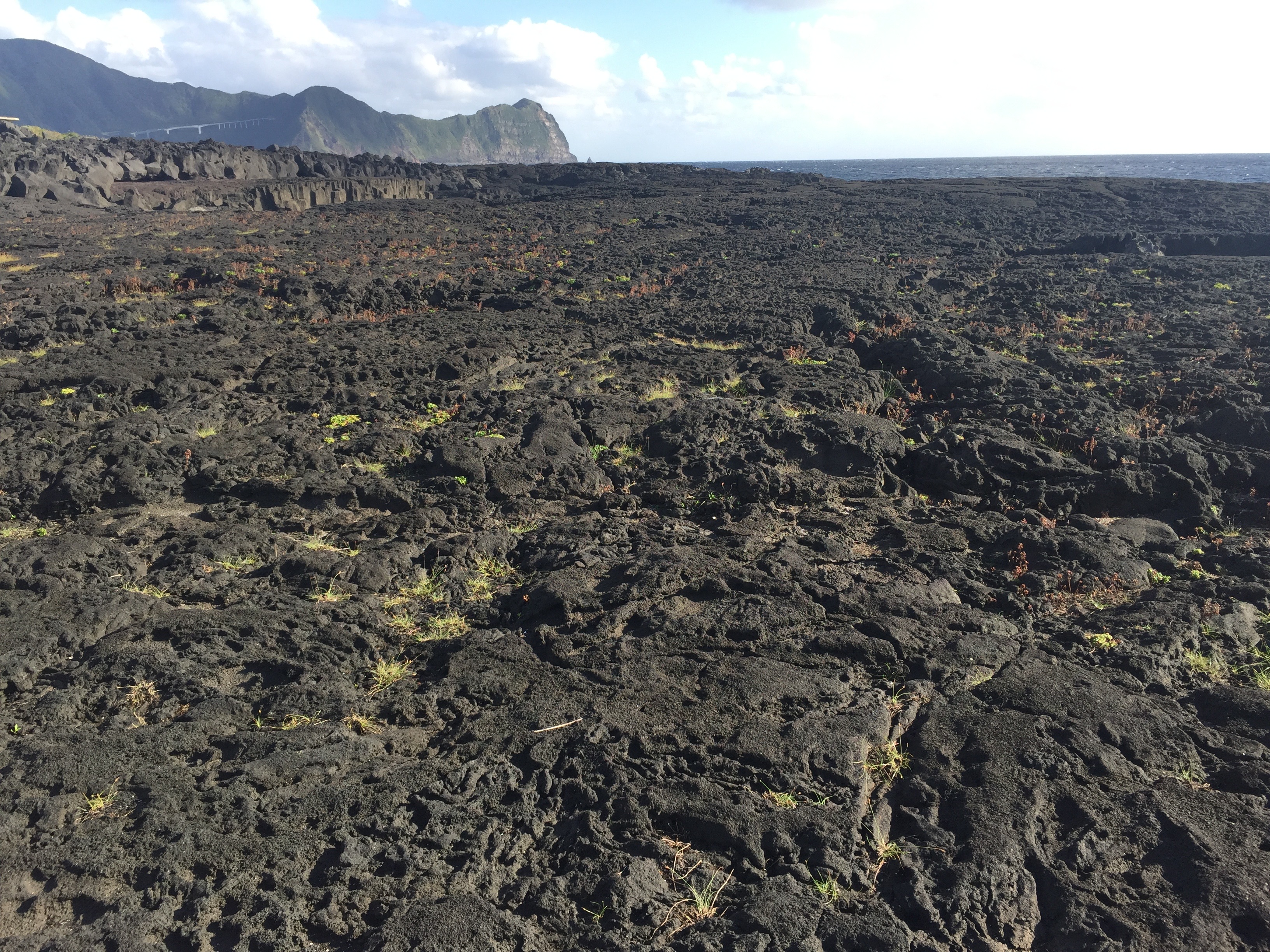 Nā Hoa Luana O Pu‘u Mālie