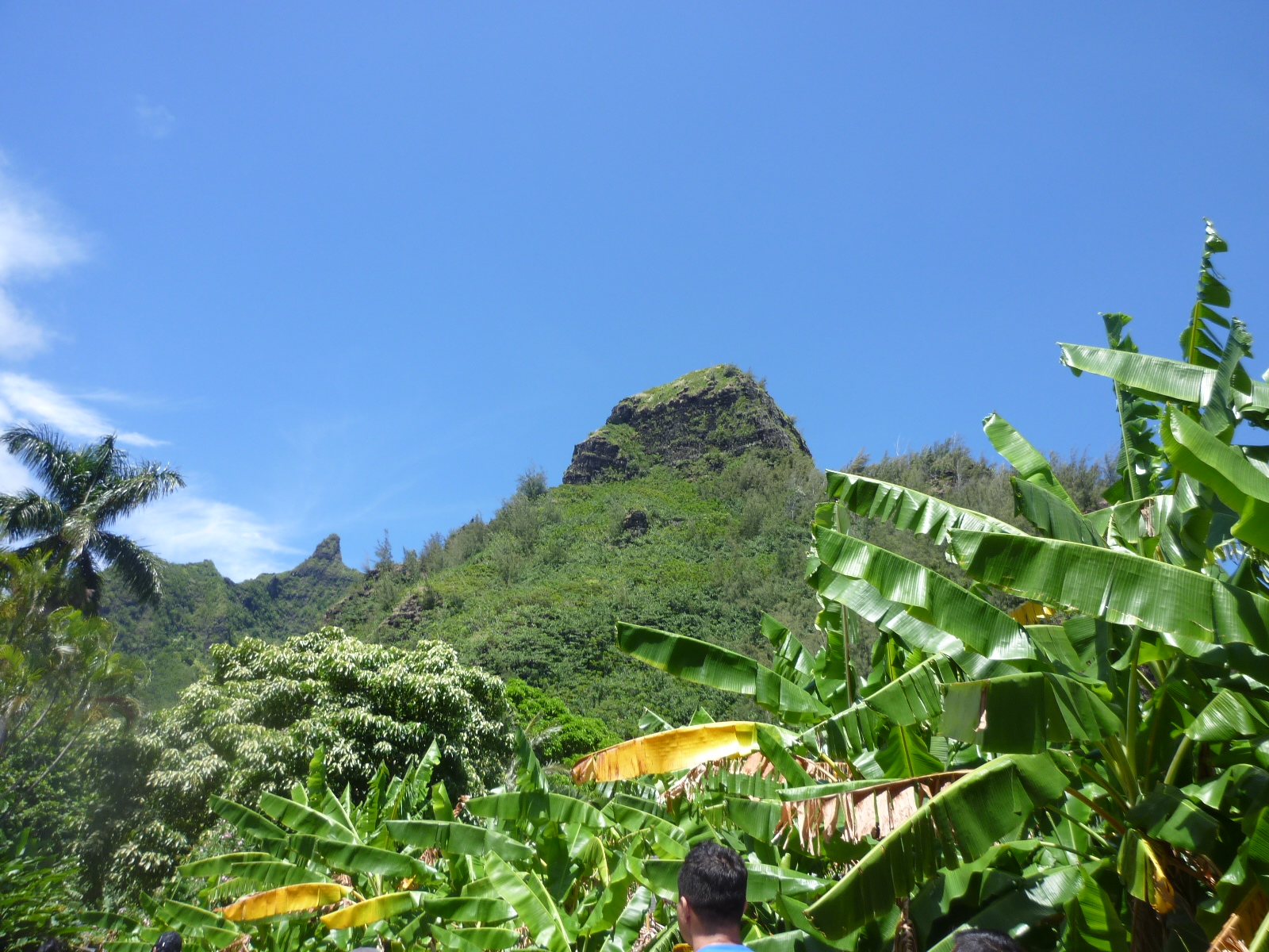 Nā Hoa Luana O Pu‘u Mālie