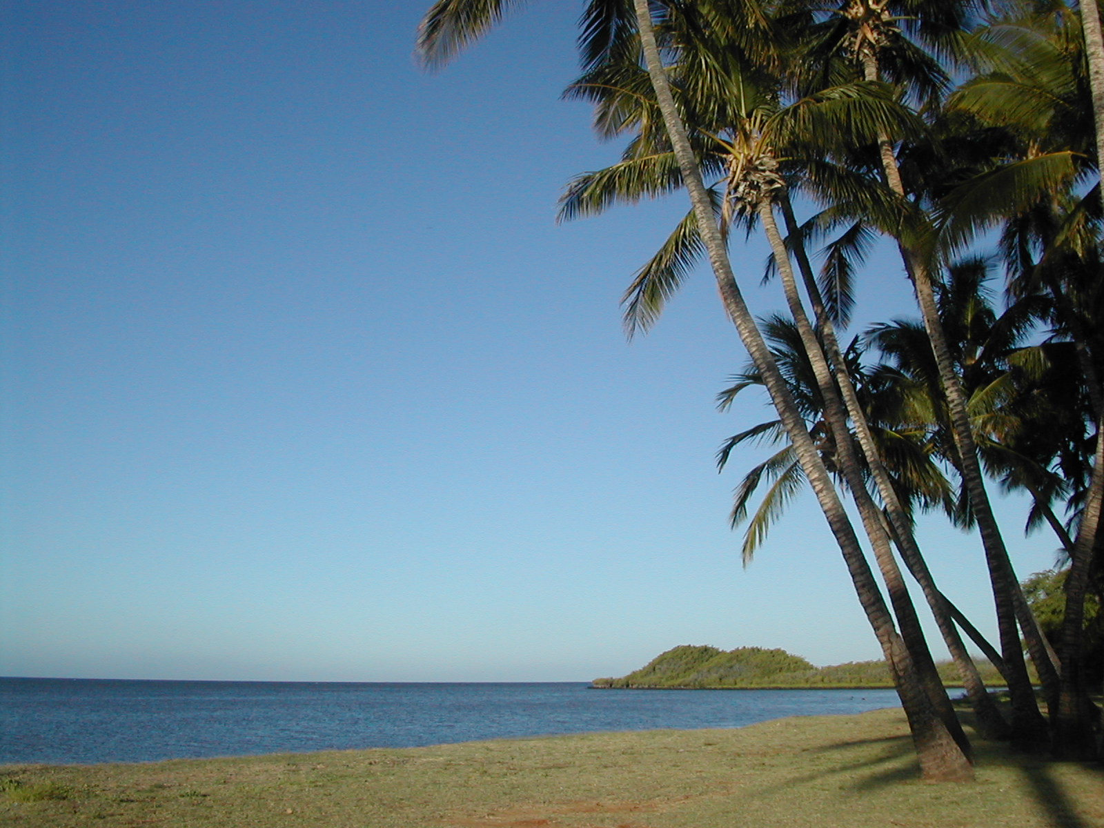 Nā Hoa Luana O Pu‘u Mālie