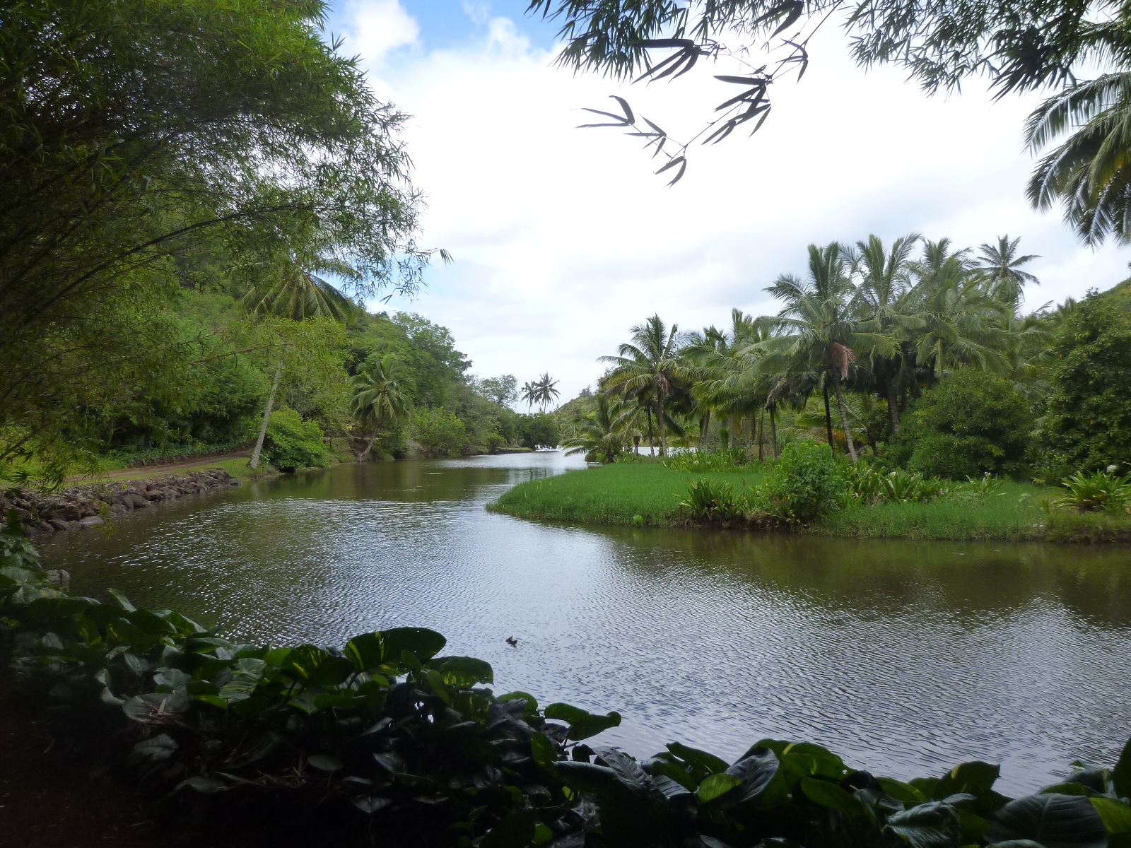 Nā Hoa Luana O Pu‘u Mālie